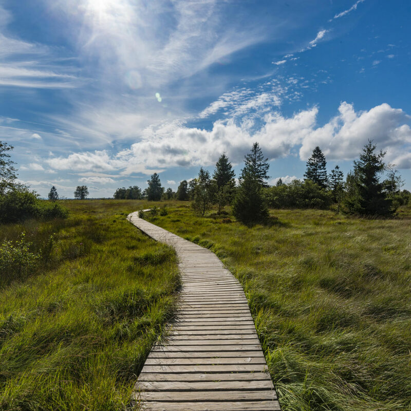 balades-dans-les-fagnes