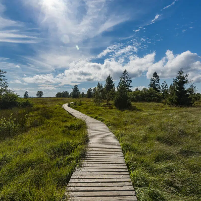 Balades-Dans-Les-Fagnes