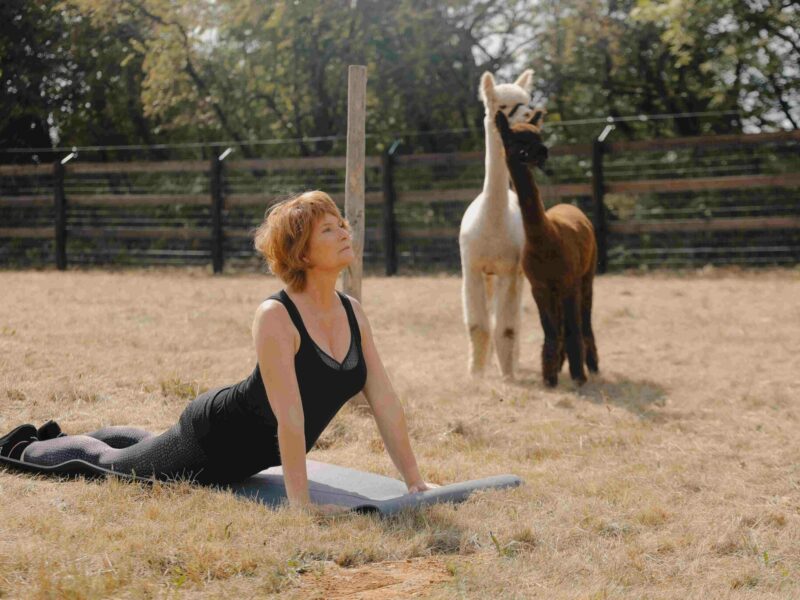 Séance-Yoga-Journée-Détente