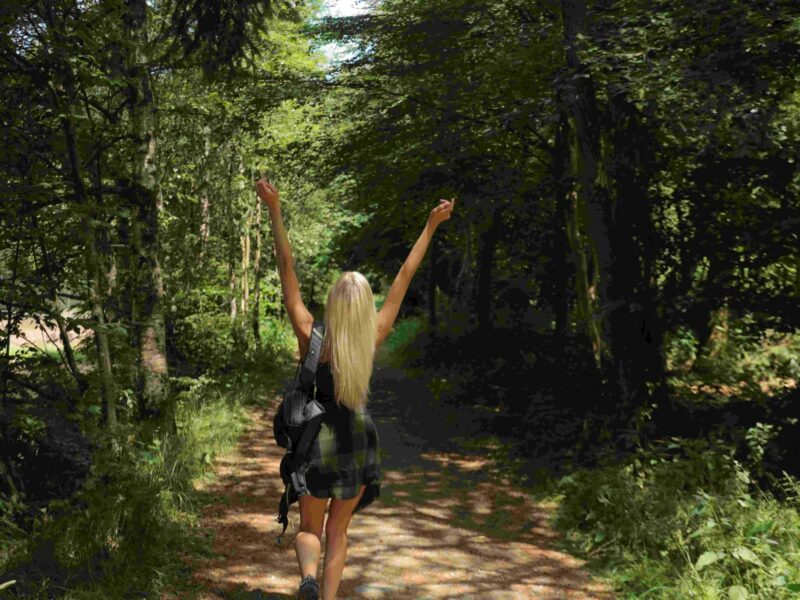 Une Personne Seule Heureuse D'Etre En Pleine Nature Des Ardennes Belges