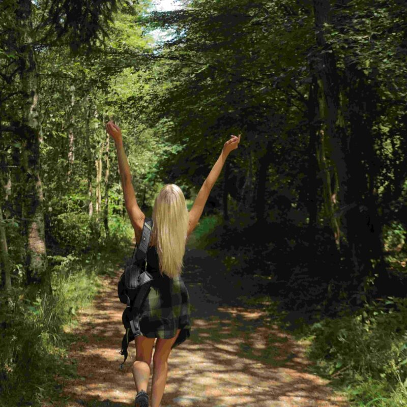 Balade En Pleine Nature Proche Du Domaine Des Hautes Fagnes Une Personne Seule Heureuse D'Etre En Pleine Nature Des Ardennes Belges