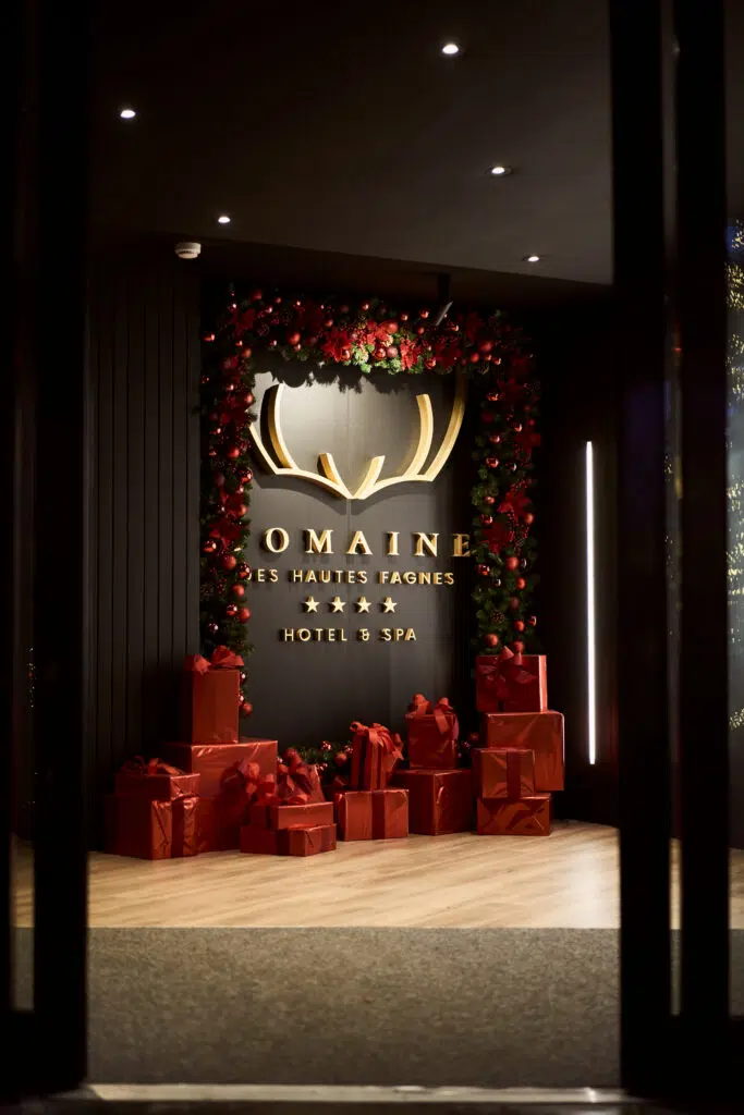 Domaine Des Hautes Fagnes Noel 1