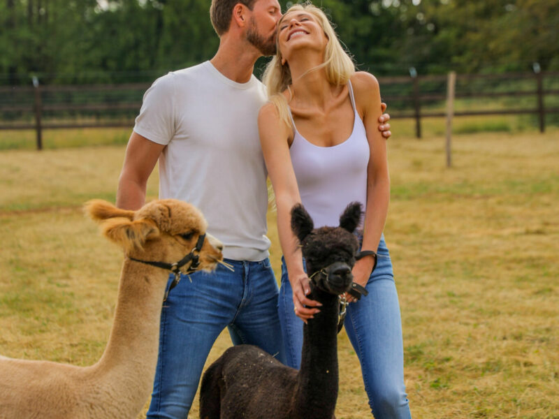 Img_9012 (1) Activités-Hotel-De-Luxe-Wallonie