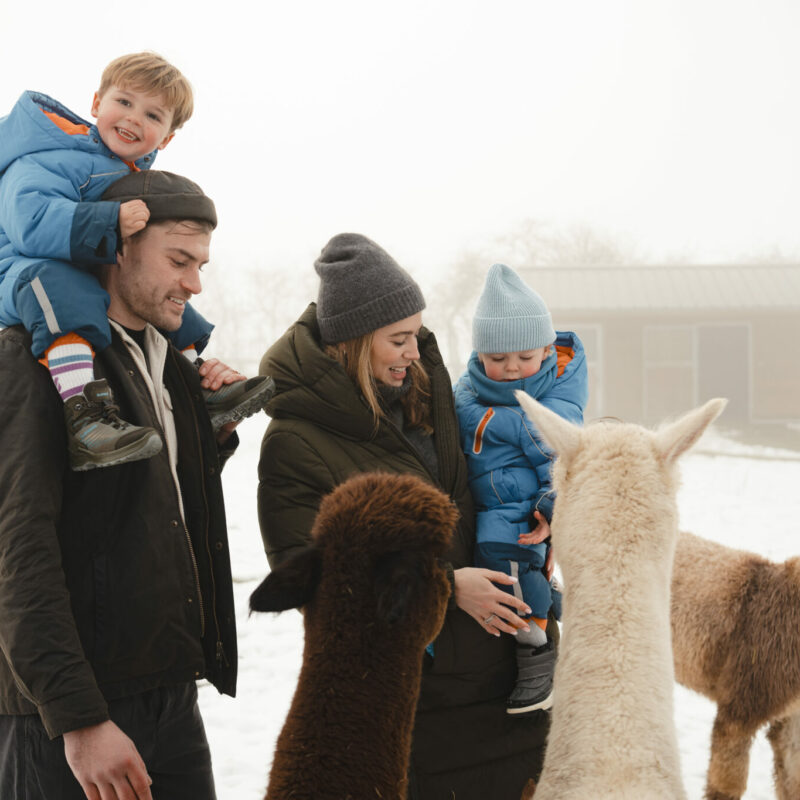 Séjour-Famille-Belgique