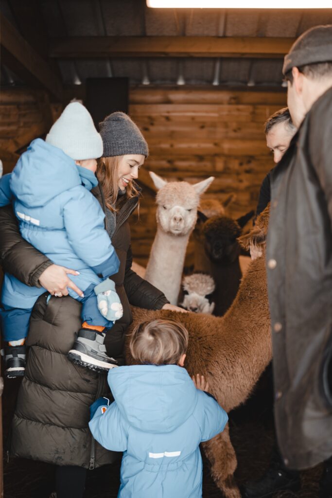 Dhf Celineadrien 13 1 1 1