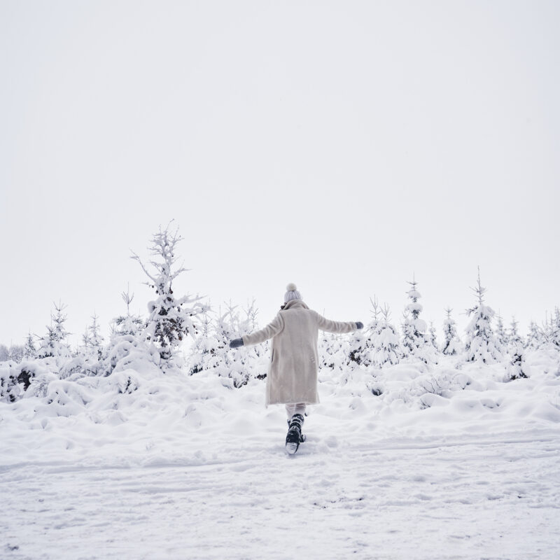 Domaine Des Hautes Fagnes 85