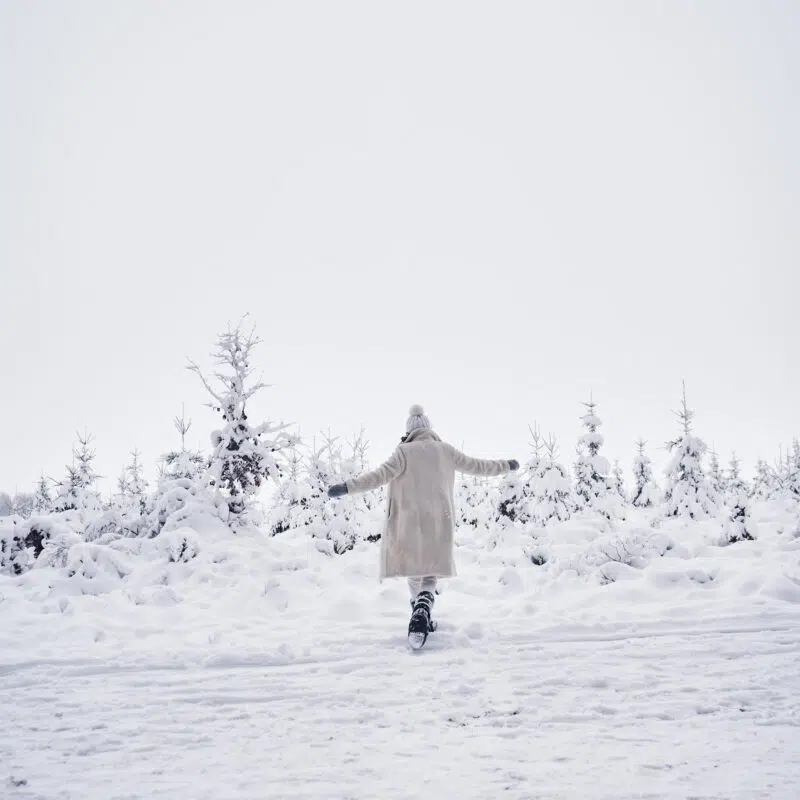 Domaine Des Hautes Fagnes 85