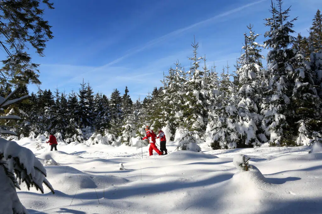 Ski