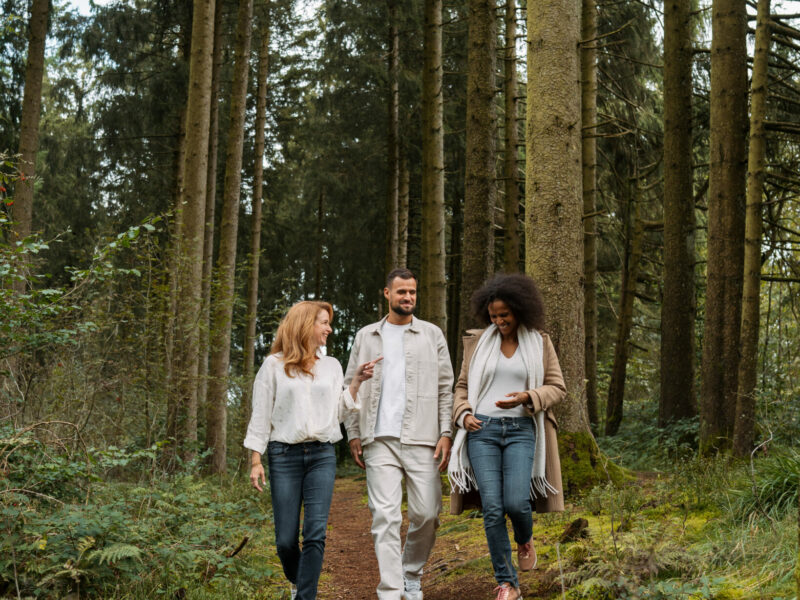 Hotel-Avec-Salle-De-Conférence-Teambuilding